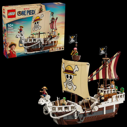 Het piratenschip Going Merry
